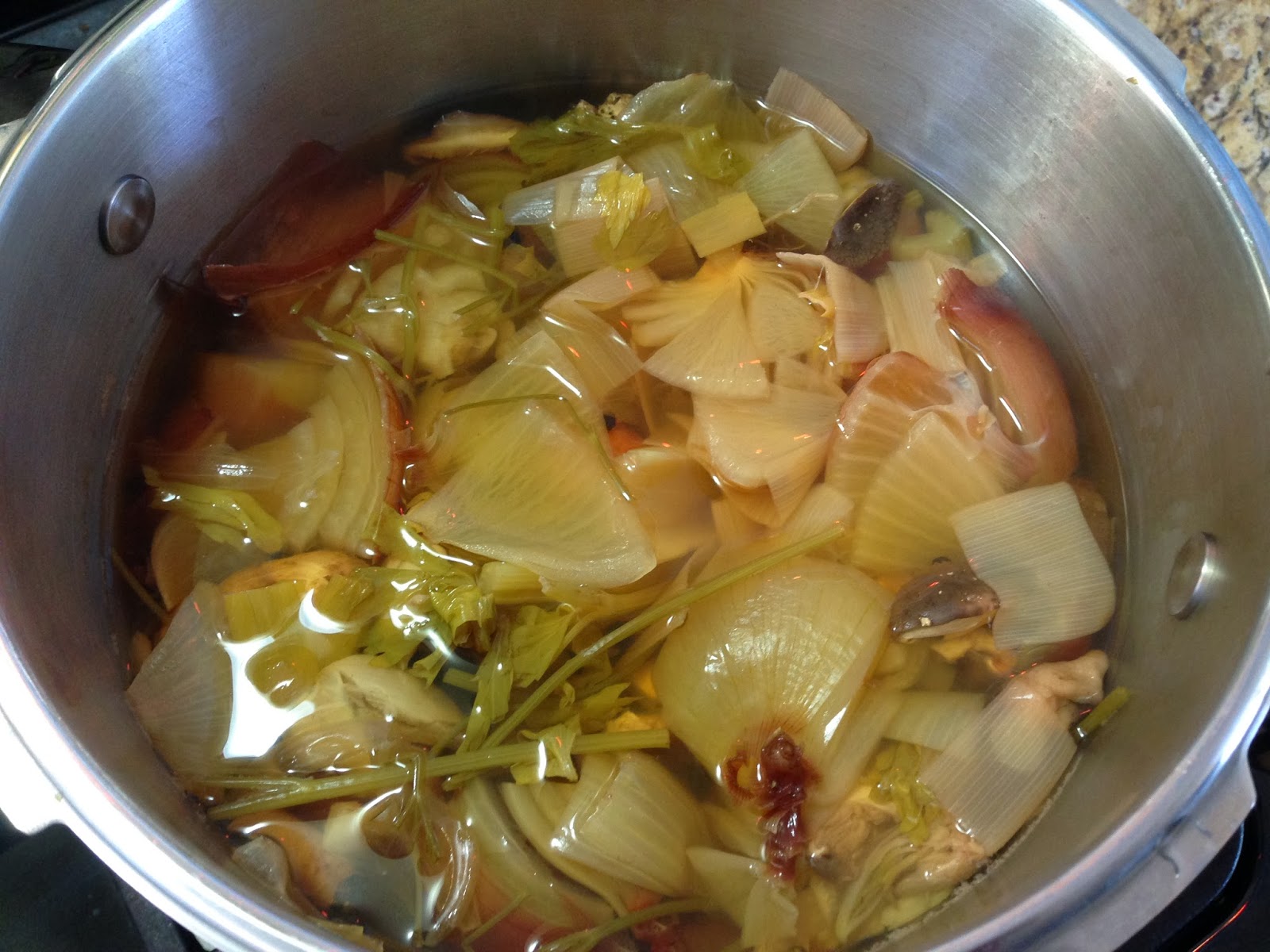 Cooking with SAHD Pressure Cooker Vegetable Stock