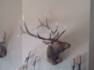 Dad's Bull on the wall