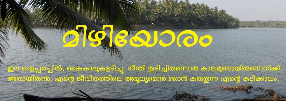 മിഴിയോരം