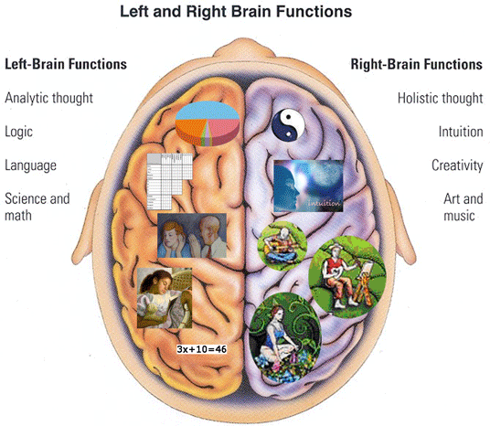 Left and Right Brain Dominance and the