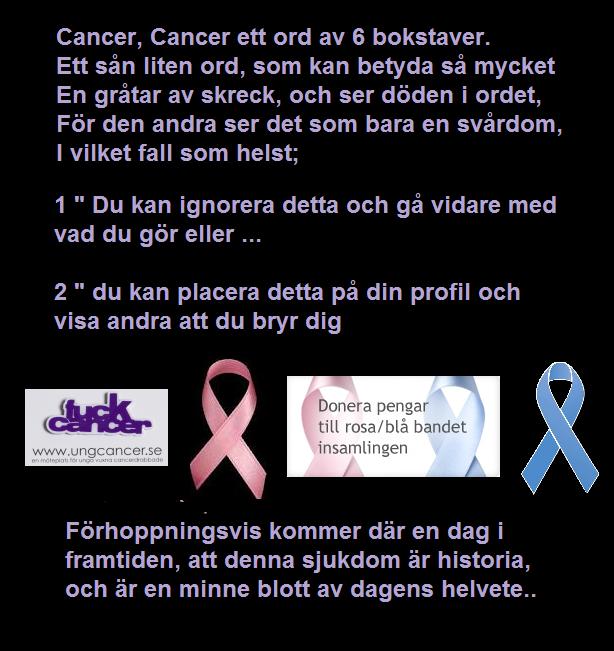 bla bla översätt bla bla översätt