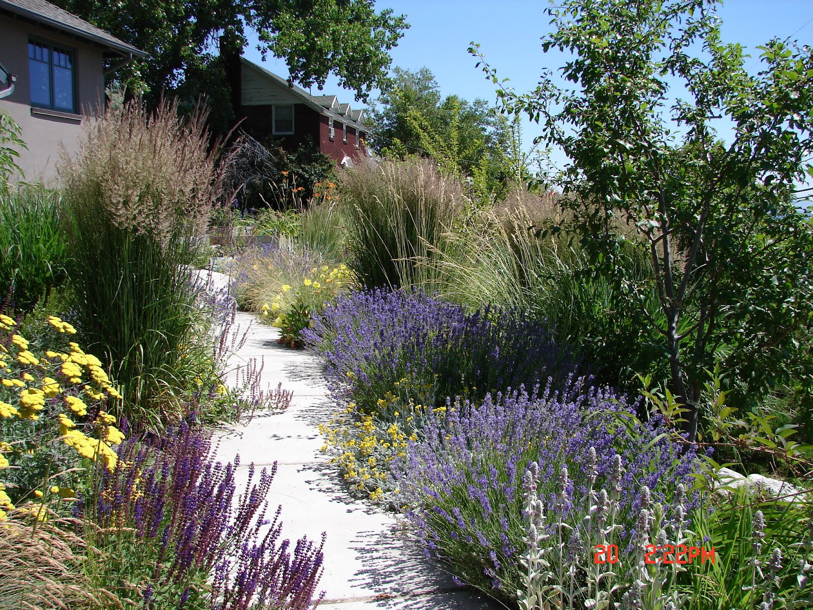 New Utah Gardener Five Good Reasons For Waterwise Gardening!
