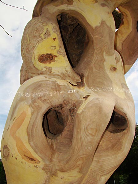 Ausstellungen Seite 10 Dauntown