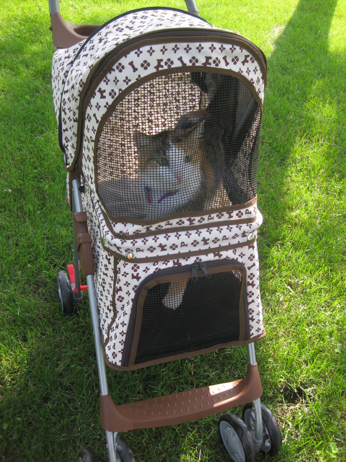 Catsparella Cats on Wheels Let's Talk Pet Strollers