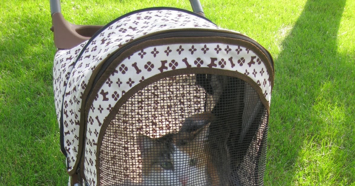 Catsparella Cats on Wheels Let's Talk Pet Strollers