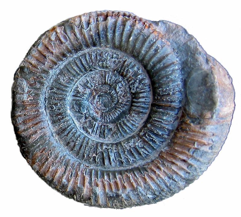 Definition And Classification of Rocks, Mountain and Plateaus Basic