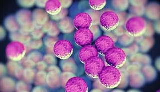 Compartiendo mi opinión La oritavancina el antibiótico del futuro es