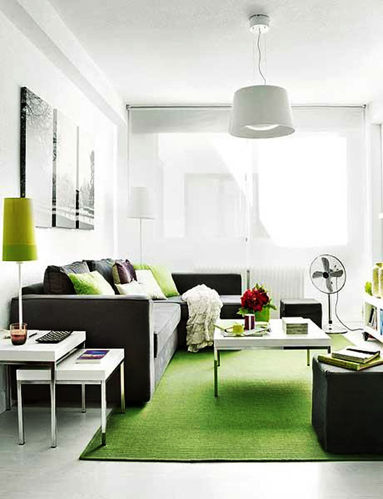Great Design Ideas For Apartments Great Design Ideas For Apartments