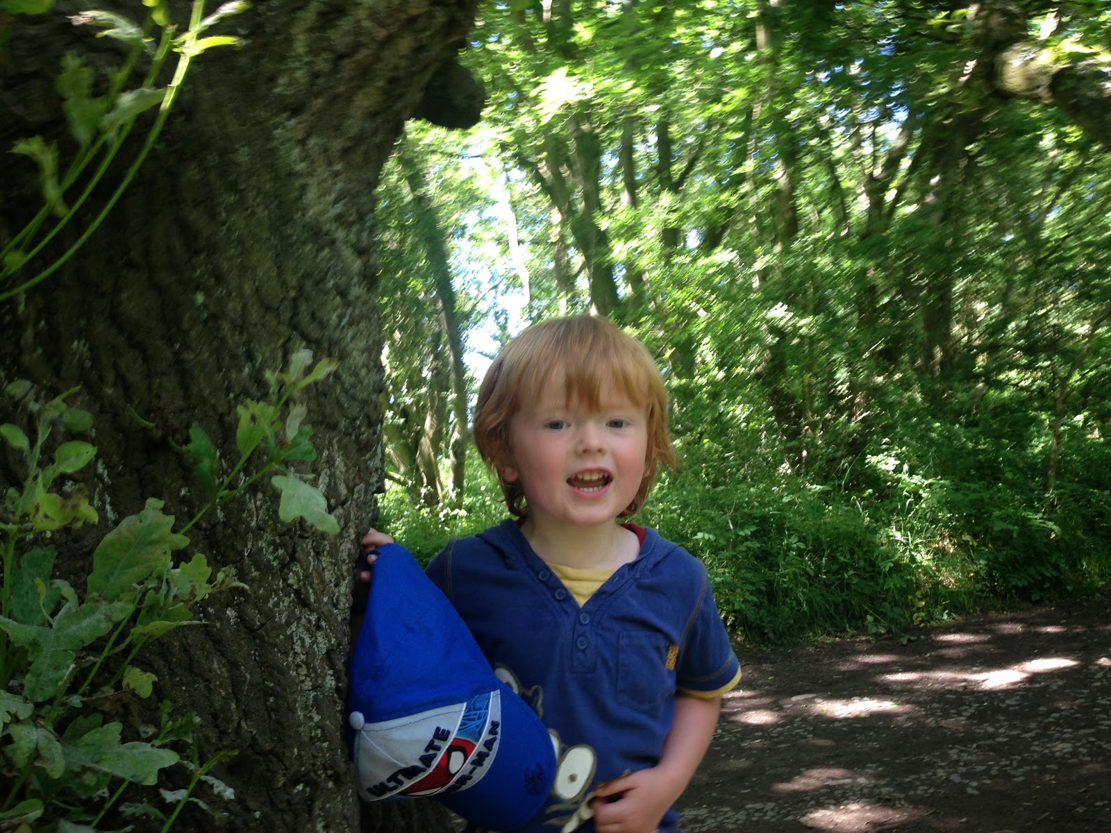 The best picnic spots in Northumberland North East Family Fun