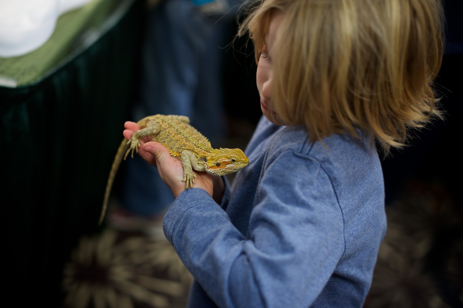 Life at the condo: Reptile Expo