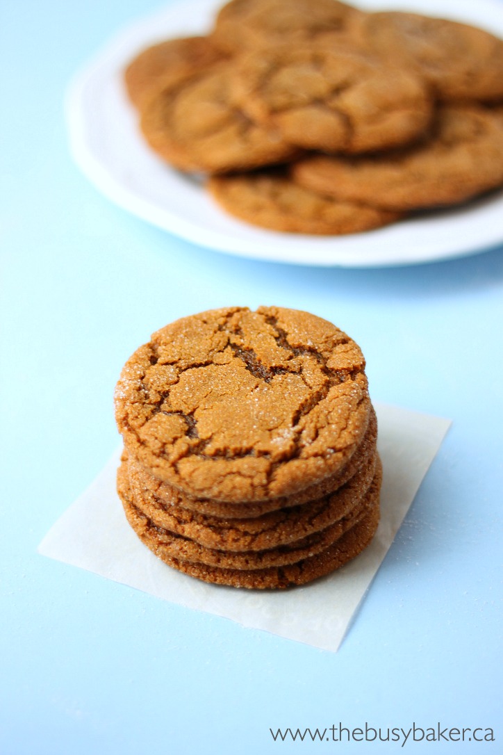 Best Ever Ginger Molasses Cookies (better than Starbucks!) The Busy Baker