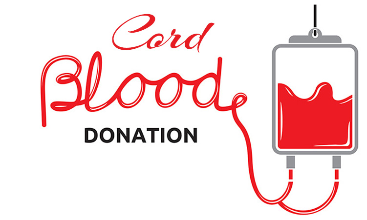 What should i write my stem cell donor