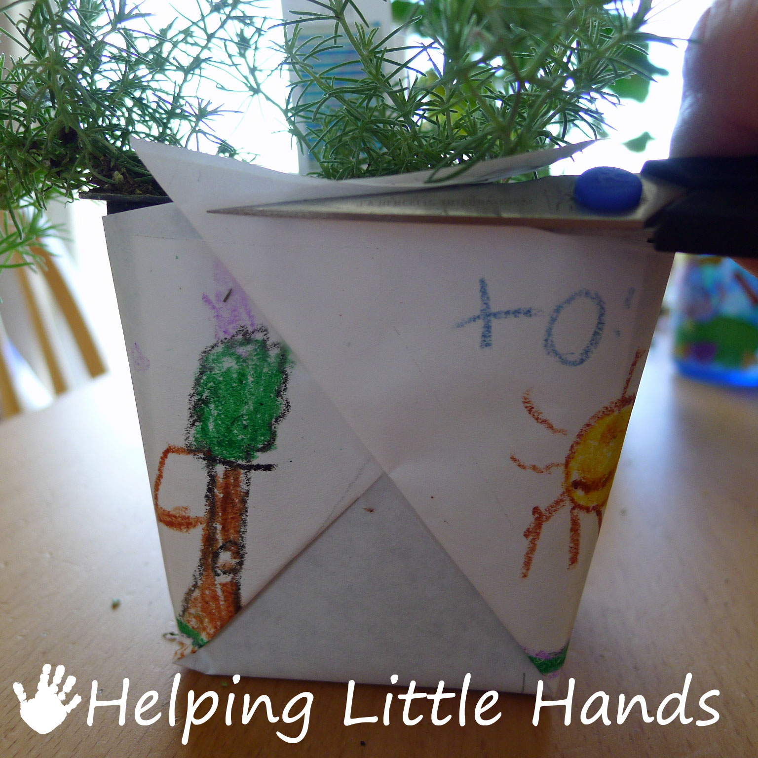 Pieces by Polly: Colored Freezer Paper Flower Pot Wrap - Great for Moms and Teachers!