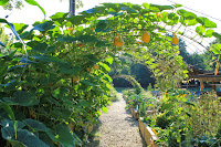 pumpkin arch