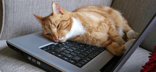 samet sahin makine tasarim teknoloji gundem ocak 2013