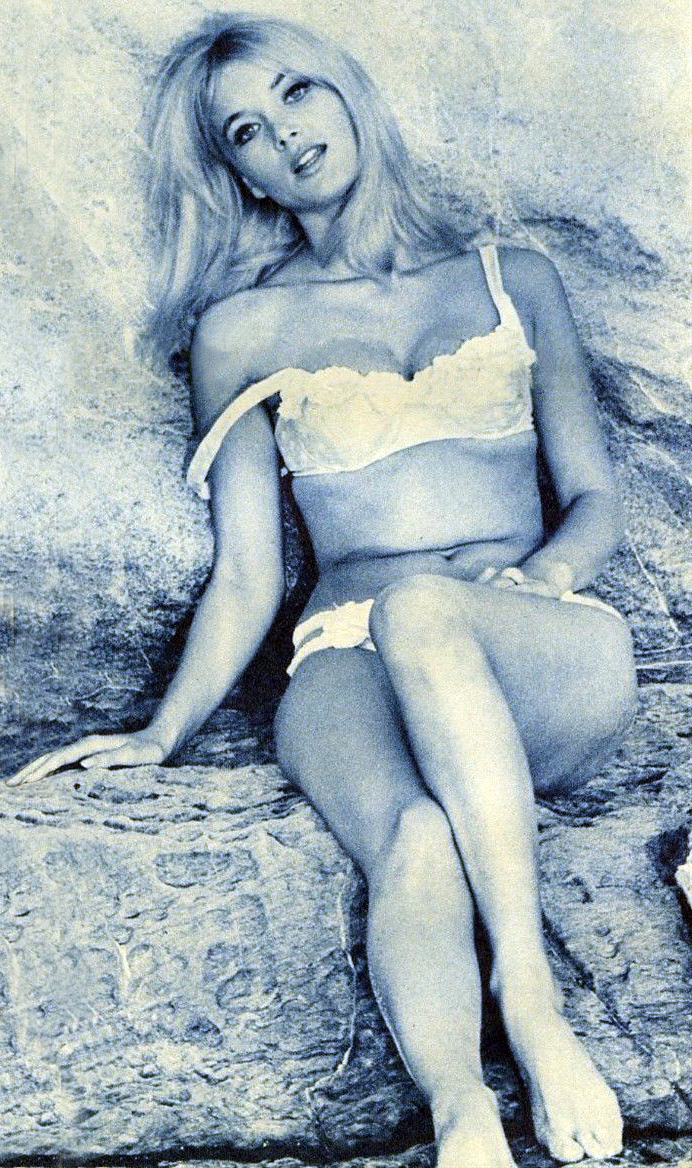 В эпоху фотошопа стали часто попадаться фейки Барбары Брыльска. Но все равно интересно посмотреть на голую звезду.