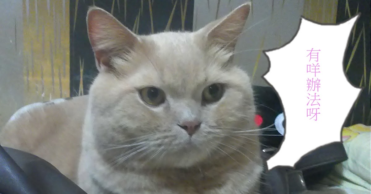 愛美小懶貓 美容分享 小懶貓率先試用4月新品ultraceuticals 抗菌控油系列