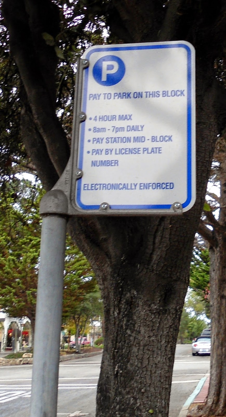 The CarmelbytheSea WATCHDOG! OCEAN AVENUE PILOT PAID PARKING PROGRAM The City of Carmelby