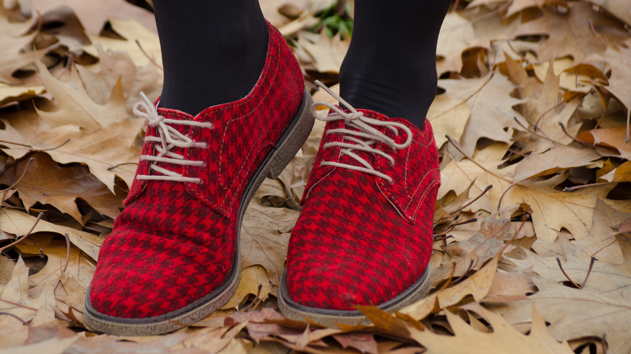 houndstooth oxfrod shoes mustard sweater tartan shirt peter pan collar black a-line skirt fall leaves school outfit bow