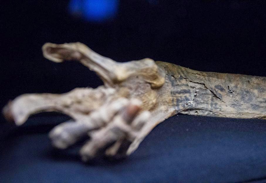 musée du quai Branly exhibitions