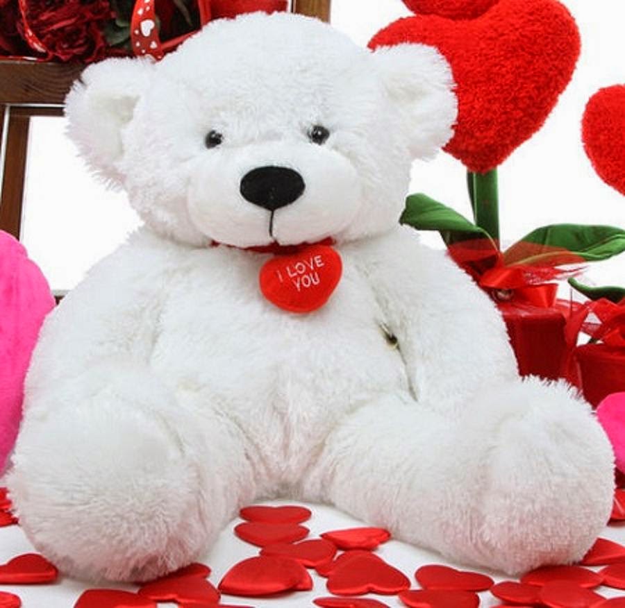 Free Download HD Wallpapers: Cute Teddy Bear Love HD ...