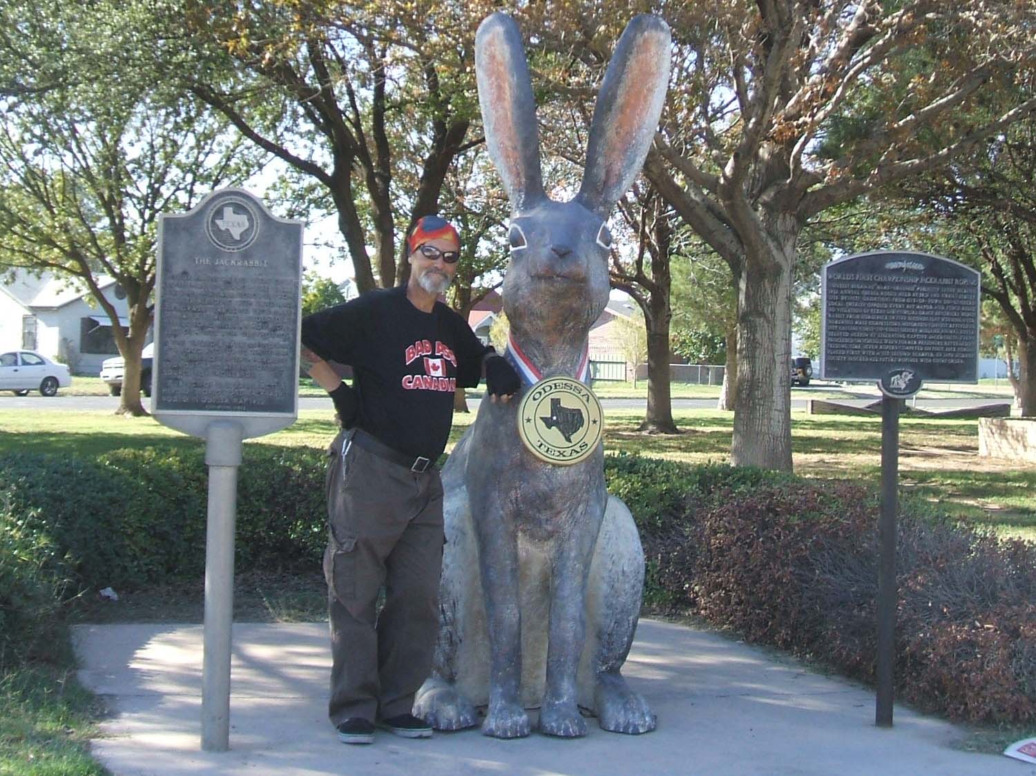 Freedom At 51 Rabbits Rabbits Rabbits