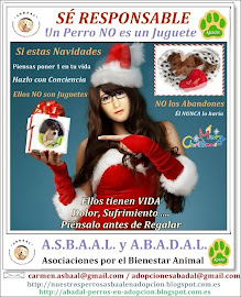 Adopta con Responsabilidad