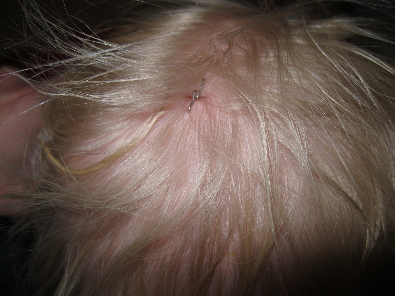 Happily Ever After... Staples