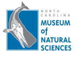 MUSEUM OF NATURAL SCIENCES