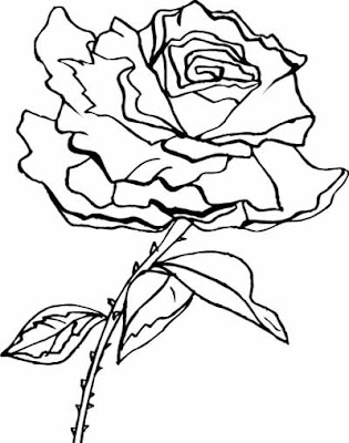 Flower Coloring Pages on Coloring  Rose Flower Coloring Page Pictures