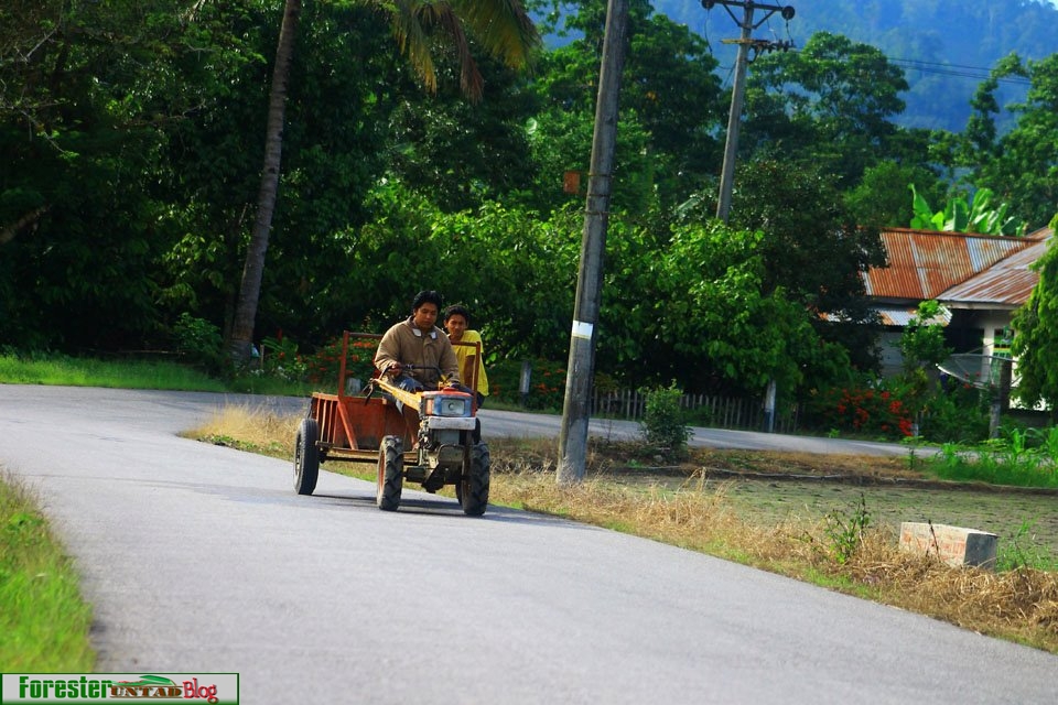 suasana pagi di pedesaan ~ FORESTER UNTAD BLOG