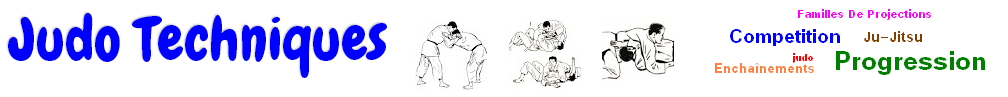 Judo Techniques 