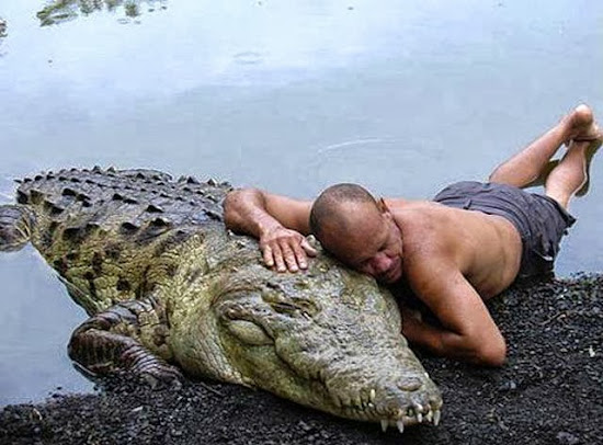 When Humans and Animals Get Along