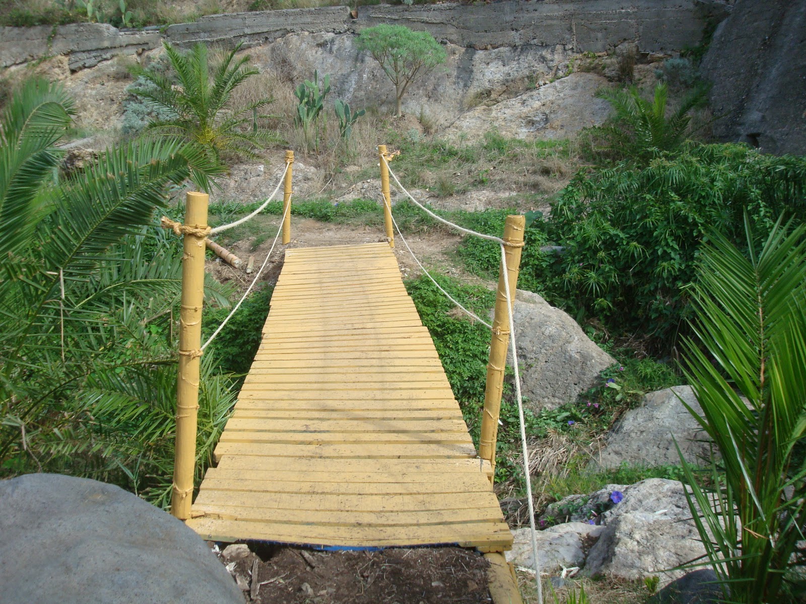 Taller de Empleo Conservación y Restauración del Medio Natural