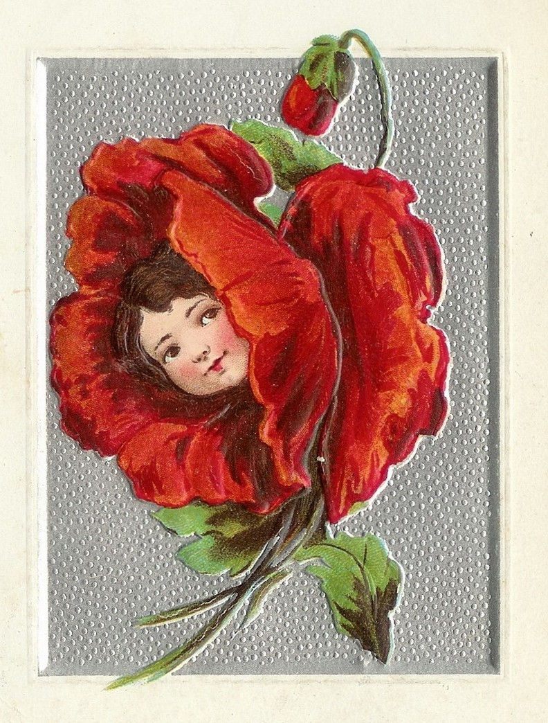 Little Birdie Blessings Scripture Thursday A Sweet Smelling Aroma