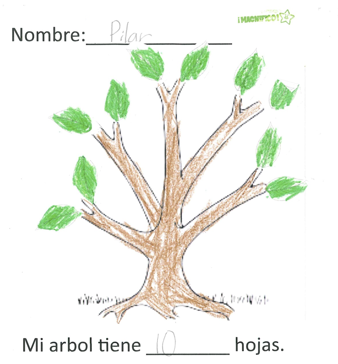 Spanish Simply: Parts of a Tree in Spanish