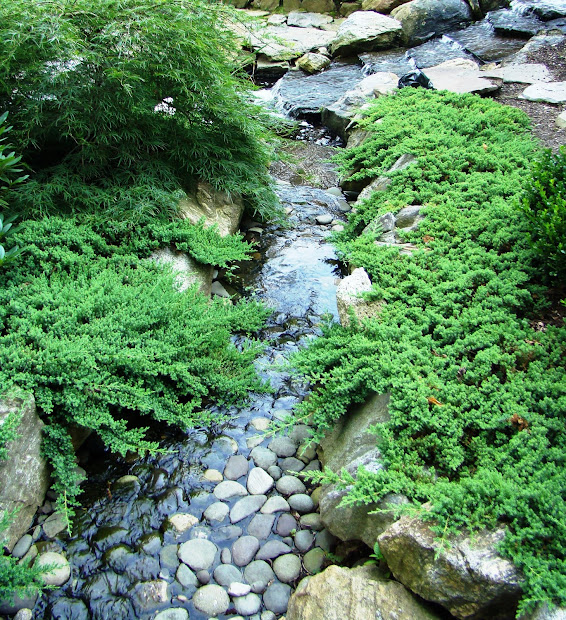 waterfall garden - short video
