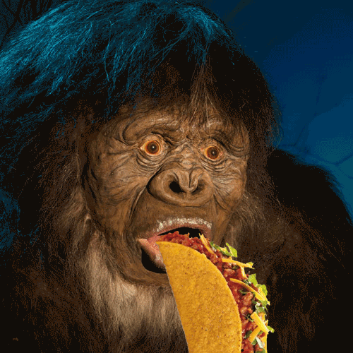 image+%252811118%2529.gif