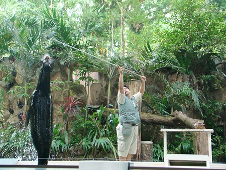 Attractions in Kuala Lumpur: National Zoo At Zoo Negara