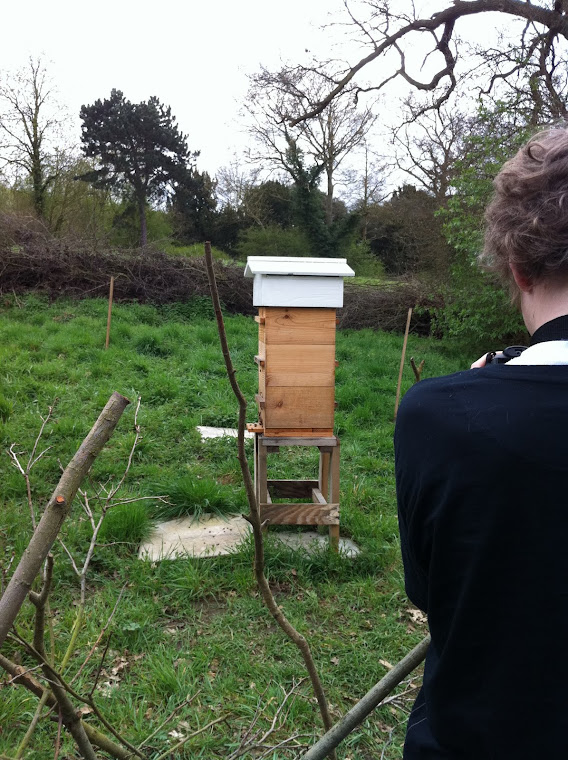 Warre Beehive