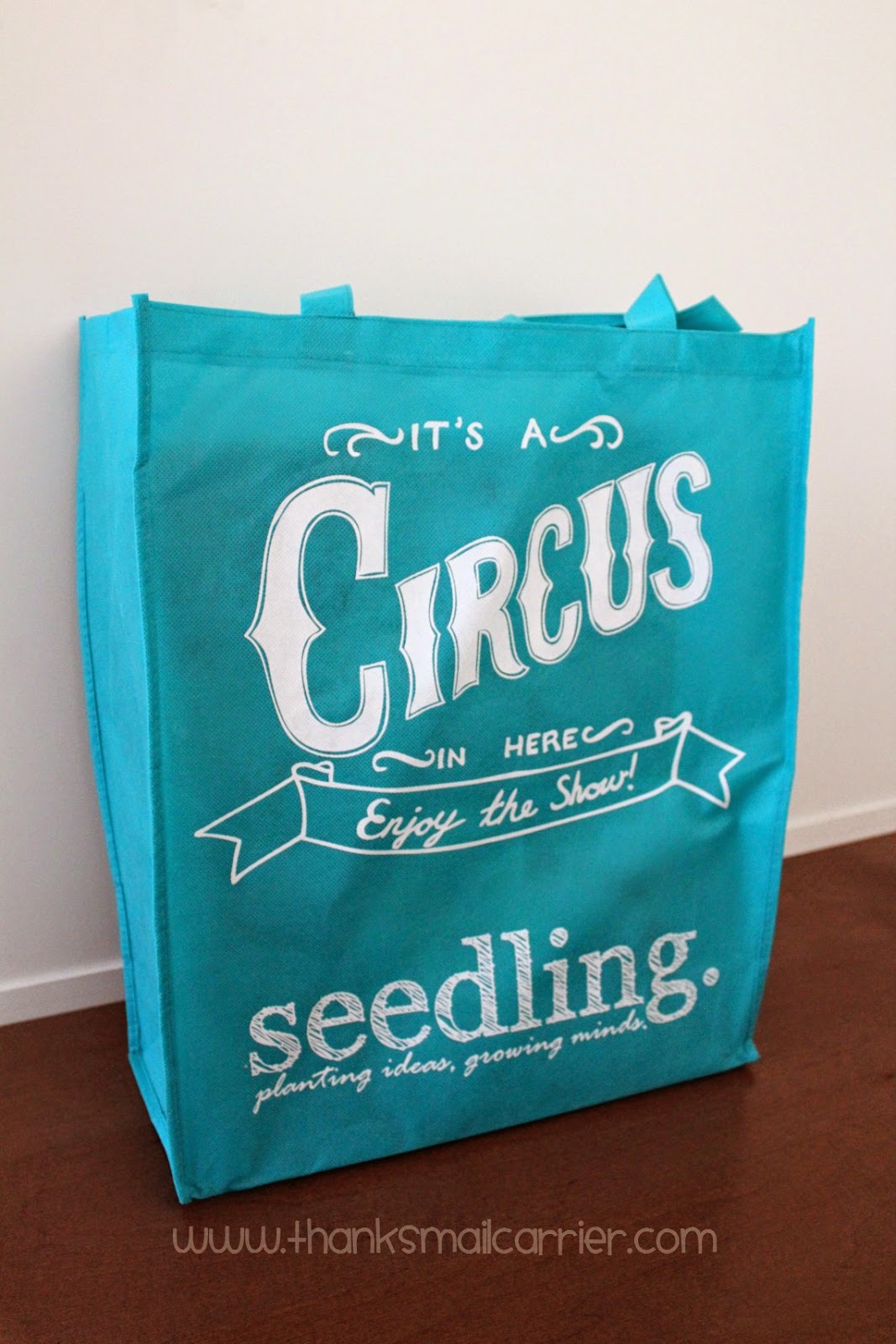 Seedling bag