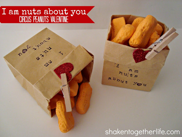 Nuts About You Valentines