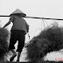 Gửi Mẹ