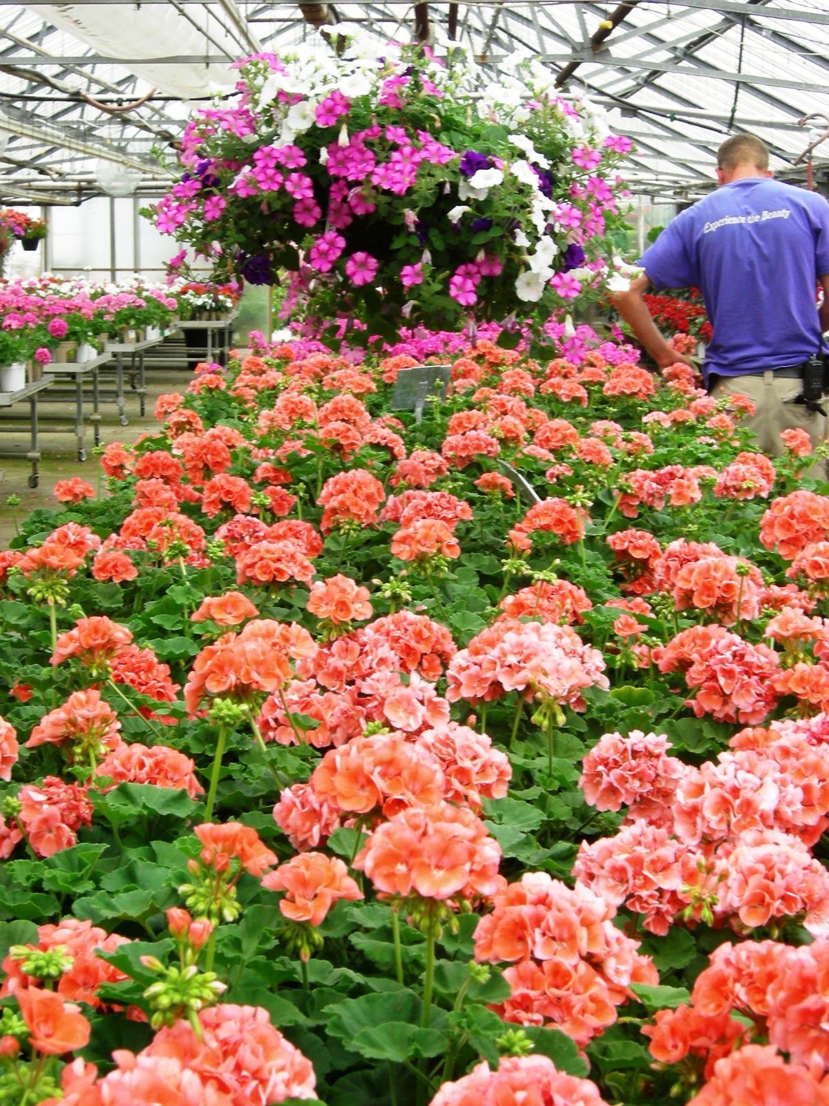 H.J. Benken's Flower & Garden Center