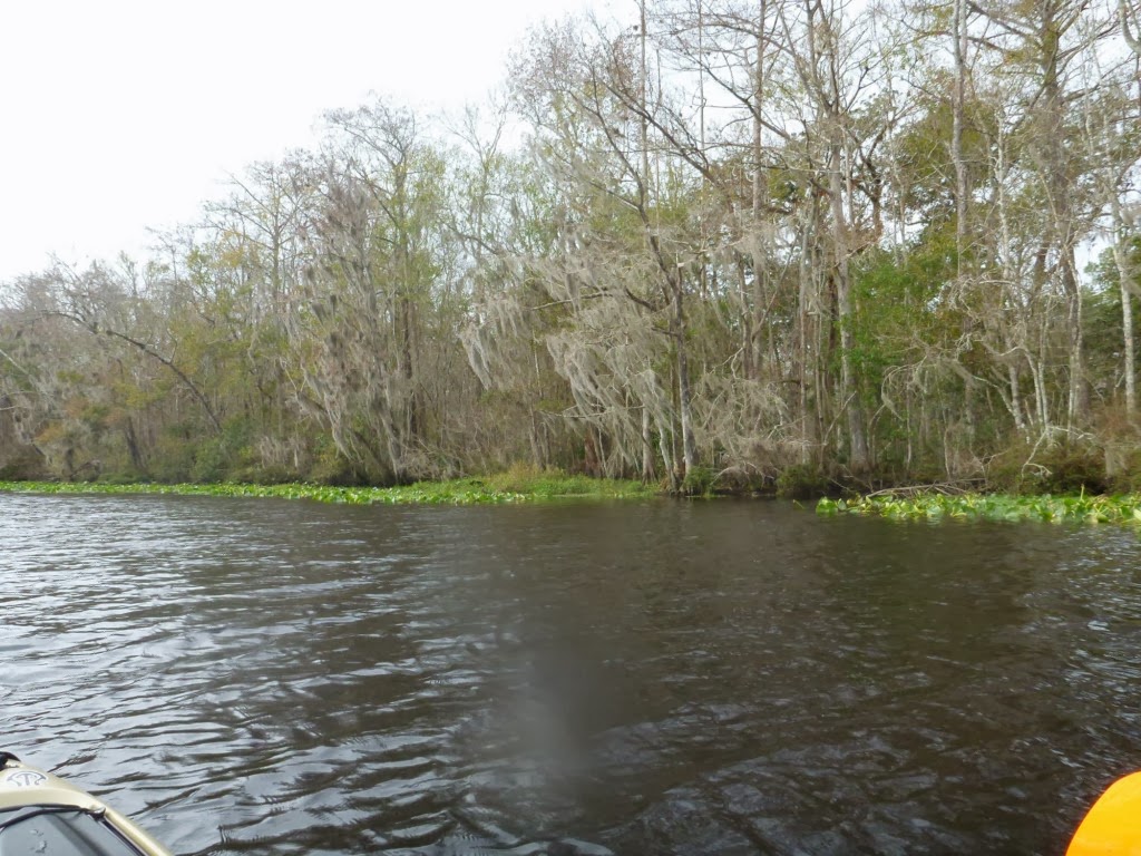 Troutrageous! Fly Fishing & Tenkara Blog Exploring Florida Trout