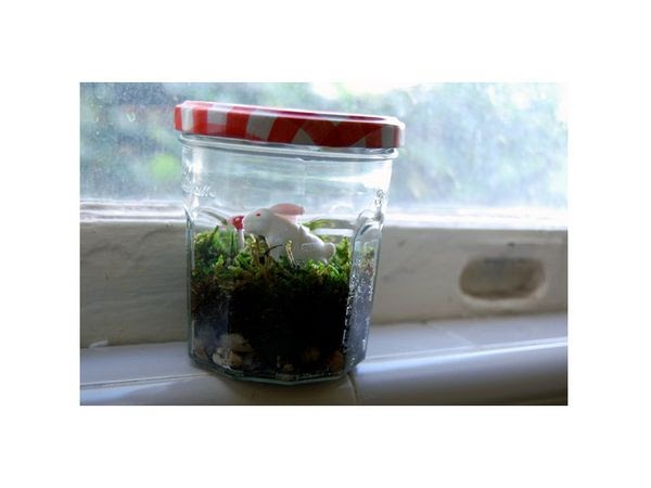 mini jardim reciclado:Como fazer jardim no vidro, terrário reciclagem e decoração mini jardim reciclado:Como fazer jardim no vidro, terrário reciclagem e decoração