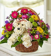A-DOG-able- in a Basket Flower Basket-A-DOG-able- in a Basket