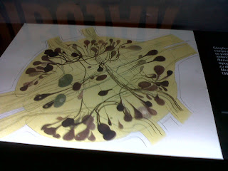 exposicion-paisajes-neuronales Obra