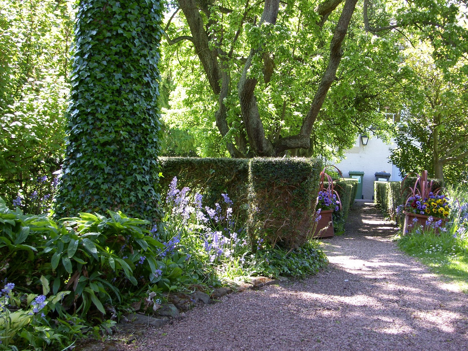 Holiday Cottage Fife Scotland A secret Garden St Andrews