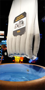 Largest Tea Bag